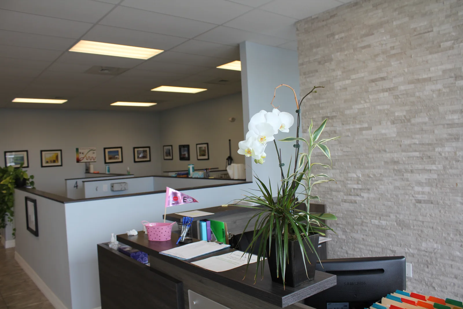 Front desk at Dynamic Chiropractic